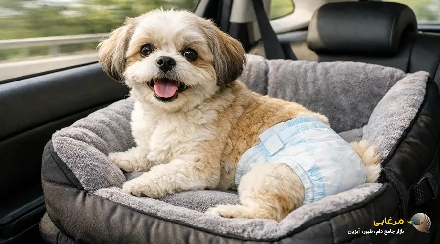 استفاده از پوشک سگ در شرایط خاص و نیازمند مراقبت های ویژه، نقش مؤثری در حفظ بهداشت محیط و راحتی حیوان دارد. از مهم ترین مواقعی که پوشک سگ ضروری است، می توان به موارد زیر اشاره کرد: