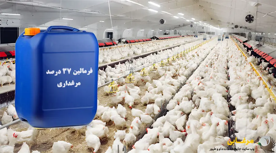 اگر برای ضدعفونی و آماده سازی سالن مرغداری یا دامداری به فرمالین ۳۷ درصد نیاز دارید، می توانید محصول موردنظر خود را از فروشگاه مرغابی تهیه کنید. انتخاب محصول مناسب، بررسی مشخصات و استعلام قیمت روز می تواند به شما کمک کند تا متناسب با نیاز واحد پرورش خود خرید انجام دهید.