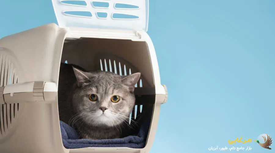 باکس iataچیست