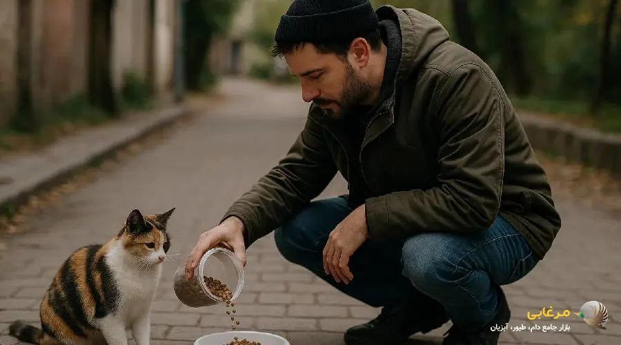غذاهای گربه خیابانی