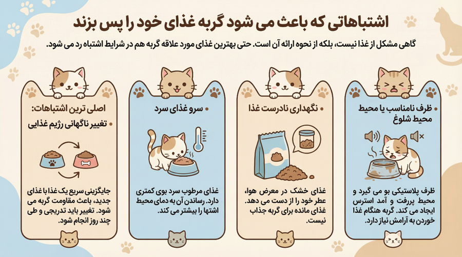 تهیه غذای مورد علاقه گربه