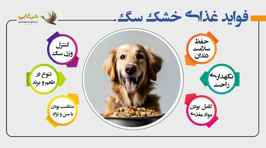 بهترین برندهای غذای سگ