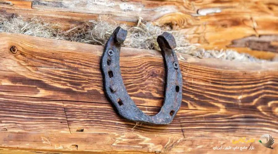 نعل اسب برای ثروت