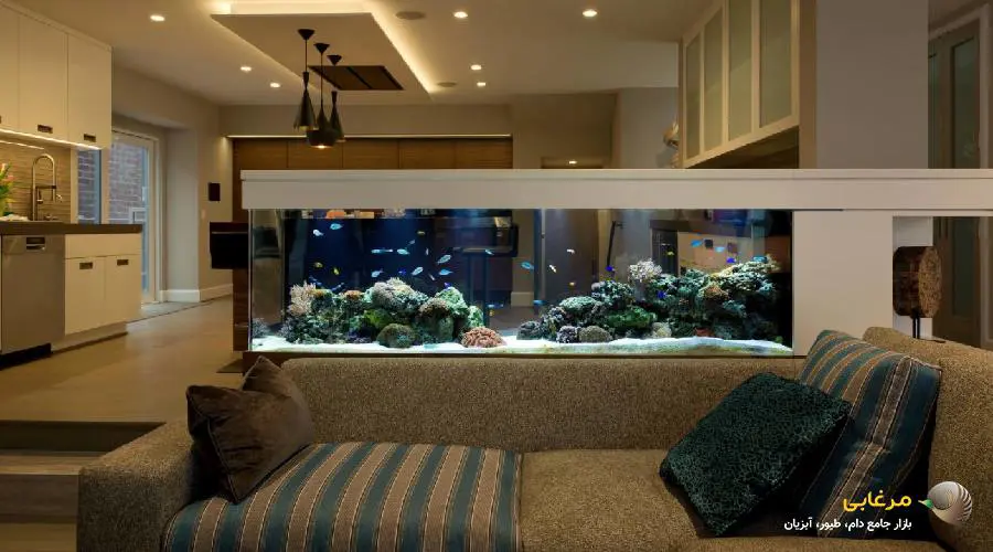 آکواریوم خانگی