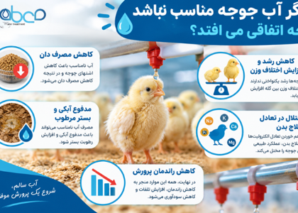 TDS آب برای جوجه و مرغ؛ چرا کیفیت آب به‌اندازه دان اهمیت دارد؟