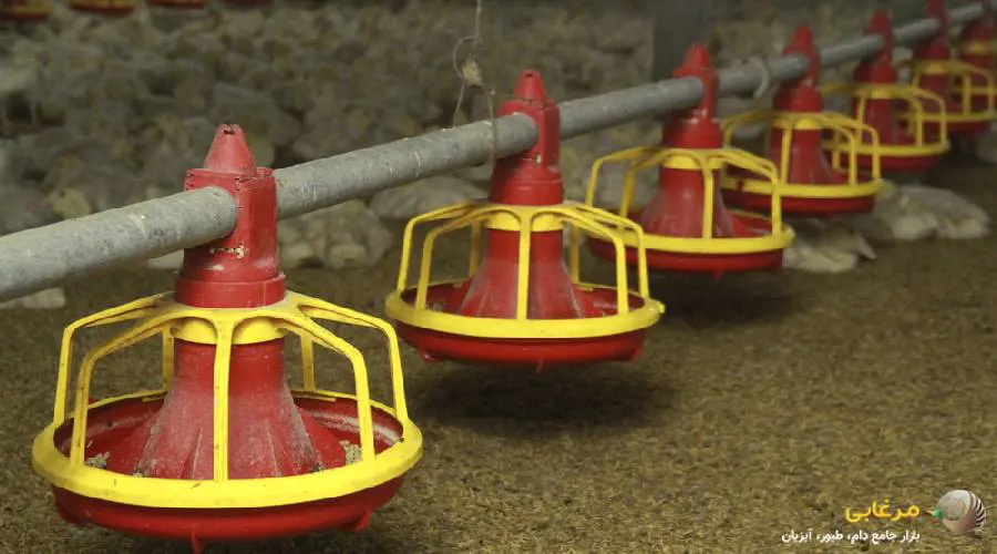 قیمت دانخوری مرغ