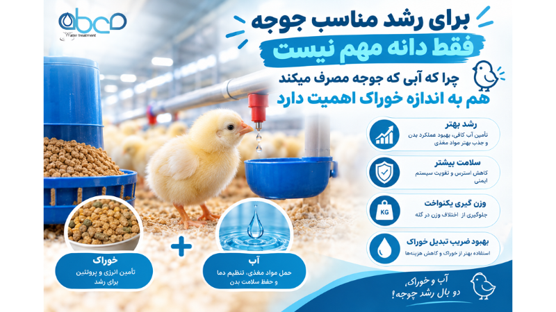 TDS آب برای جوجه و مرغ چقدر باید باشد