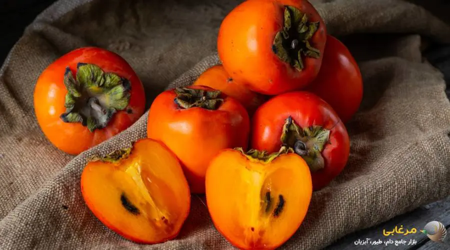 هسته خرمالو برای سگ