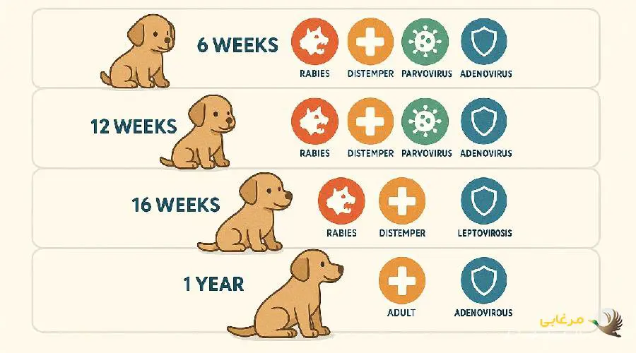 برنامه واکسن زدن سگ