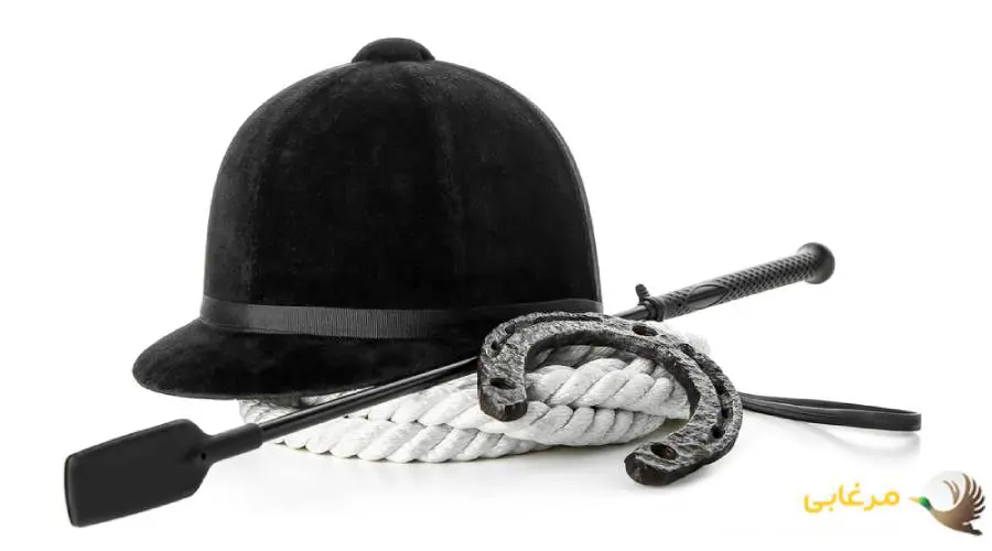 لوازم ایمنی سوارکاری