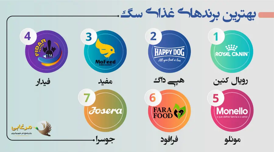 نکات مهم هنگام خرید غذای سگ