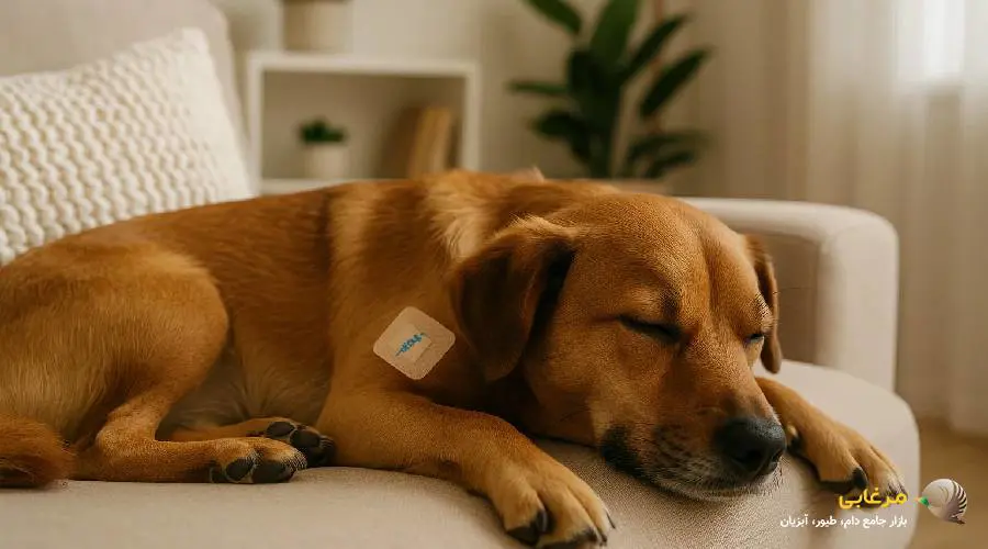 عوارض واکسیناسیون سگ