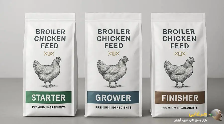 خرید مرغ گوشتی