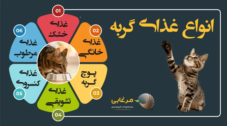 انواع غذای گربه