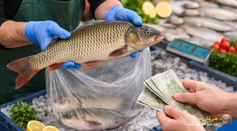 خرید ماهی کپور