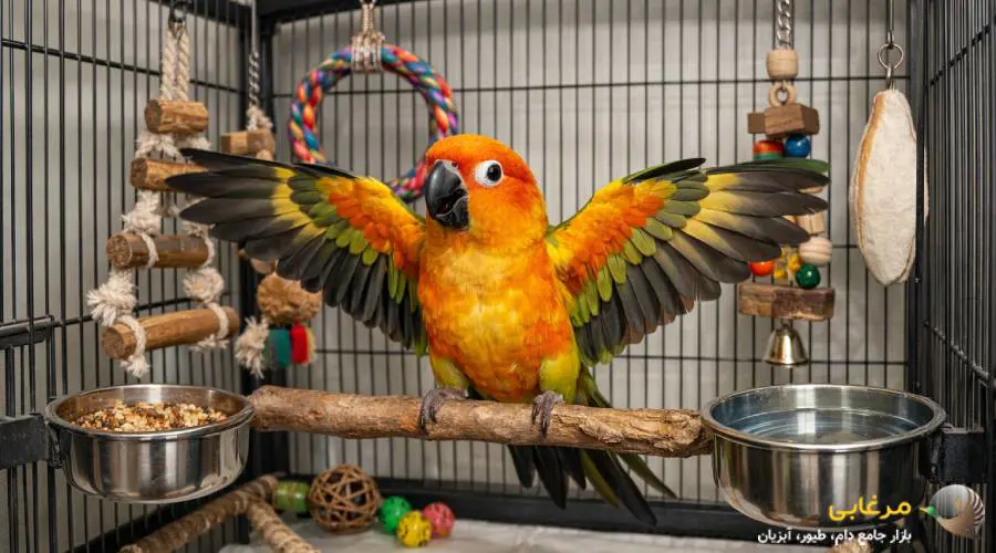انتخاب قفس پرنده
