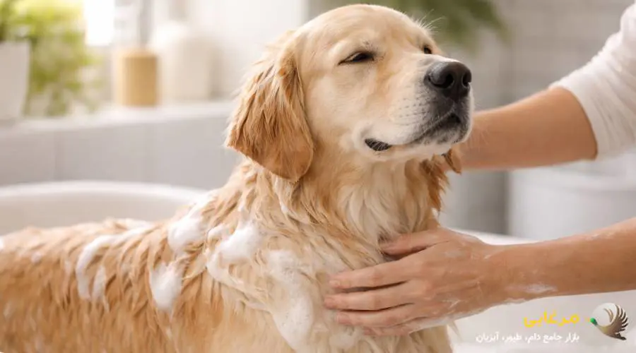شامپوی سگ مخصوص پوست حساس