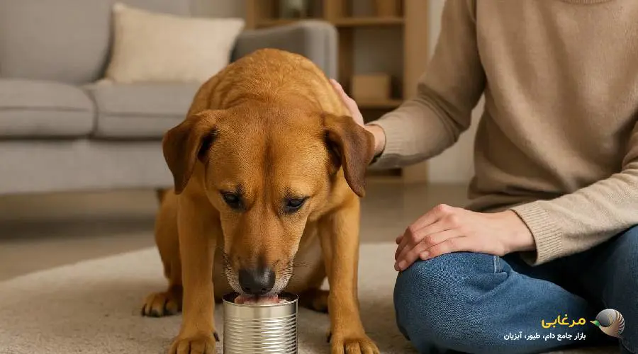 ترکیبات بهترین کنسرو سگ