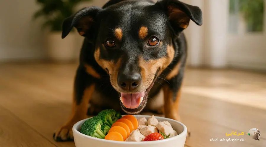 جایگزین های آمپول تقویتی سگ