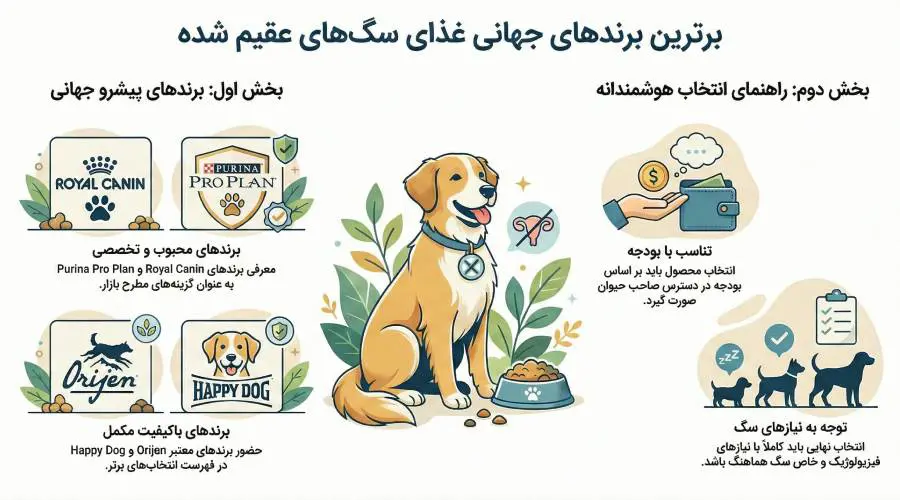 غذای خشک سگ عقیم شده خارجی