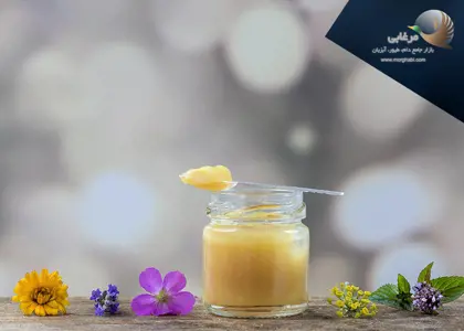 ژل رویال، تاریخچه و روش تولید، خواص و کاربردهای آن ژل رویال، تاریخچه و روش تولید، خواص و کاربردهای آن