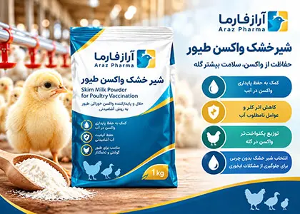 شیر خشک واکسن طیور چیست؟ کاربرد، نحوه مصرف و خرید شیر خشک واکسن