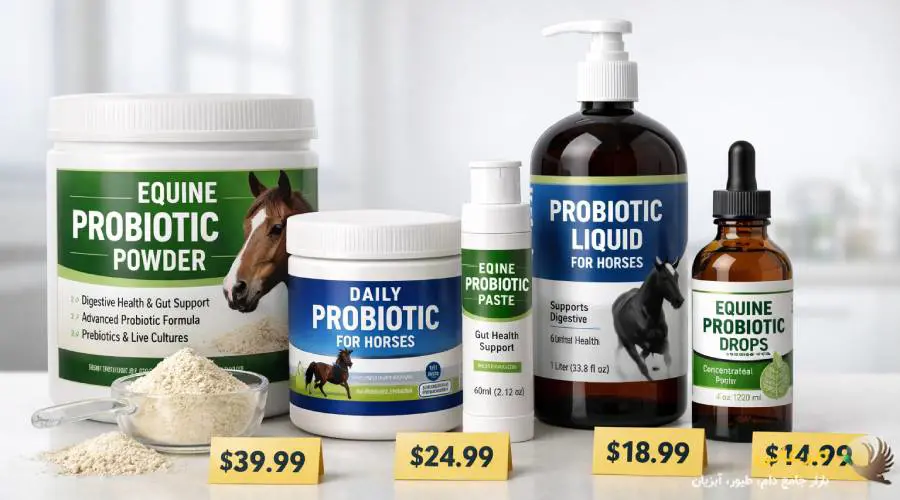 قیمت مکمل پروبیوتیک اسب به چند عامل کلیدی بستگی دارد که قبل از خرید باید مدنظر قرار گیرند. برند و کشور سازنده، نوع محصول (پودری یا مایع)، تعداد و تنوع سویه های باکتری های پروبیوتیک و حجم بسته بندی همگی روی قیمت تأثیرگذار هستند. همچنین وجود ترکیبات جانبی مانند مخمر و پری بیوتیک می تواند هزینه محصول را افزایش دهد. با این حال، قیمت بالاتر همیشه به معنی کیفیت بهتر نیست؛ مهم تر از همه، مطابقت محصول با نیازهای گوارشی و سلامت اسب است.