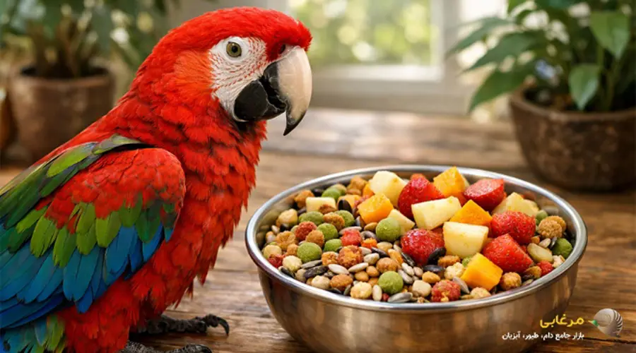 غذای پرنده زینتی