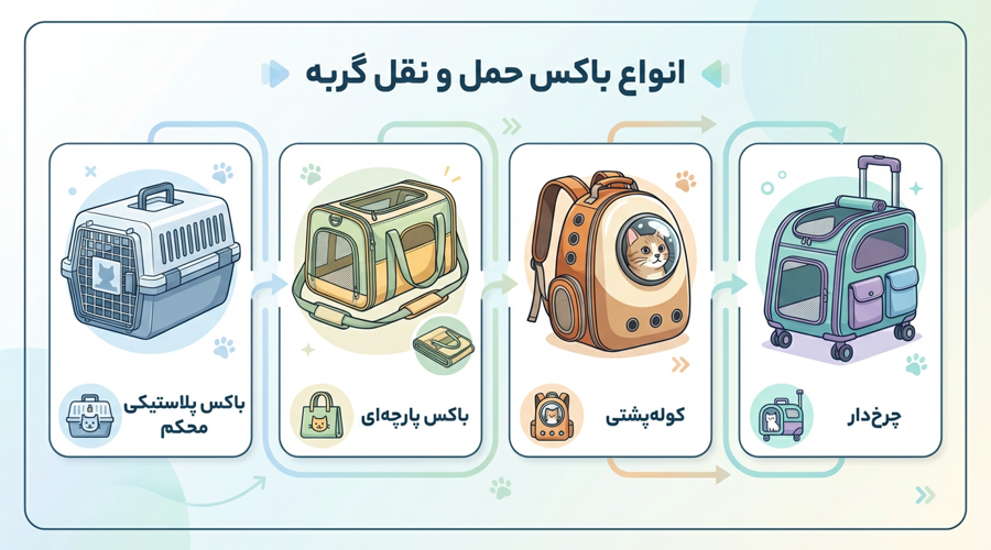 انواع باکس گربه