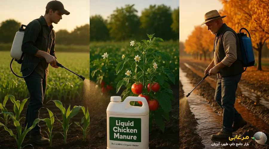 زمان مصرف کود مرغی مایع