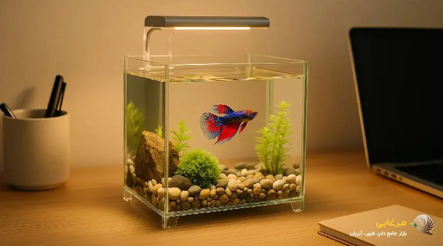 خرید آکواریوم