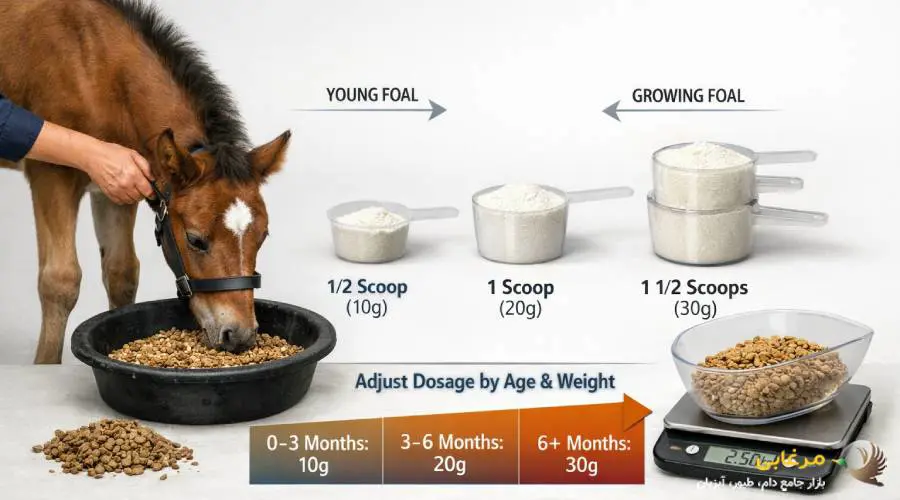 نحوه مصرف مکمل رشد کره اسب
