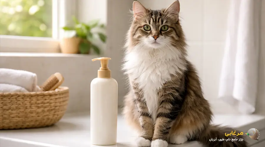 شامپوی گربه برای موهای بلند