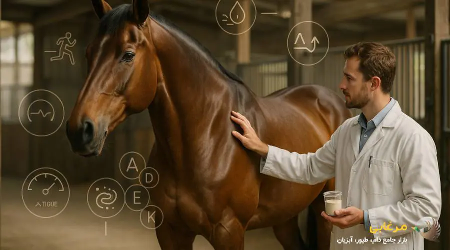 مزایای پودر چربی اسب
