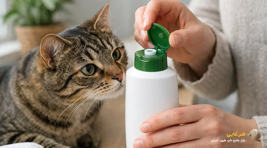 شامپوی گربه ارزان