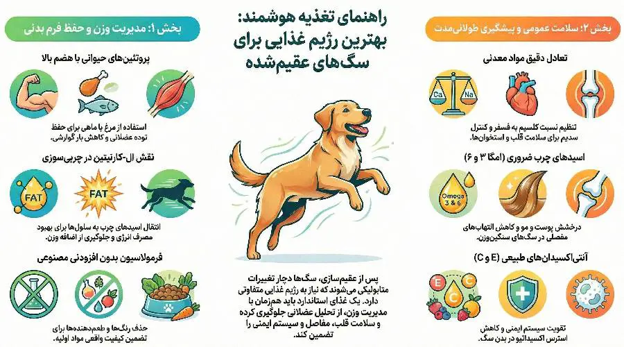 ویژگی غذای خشک سگ عقیم شده