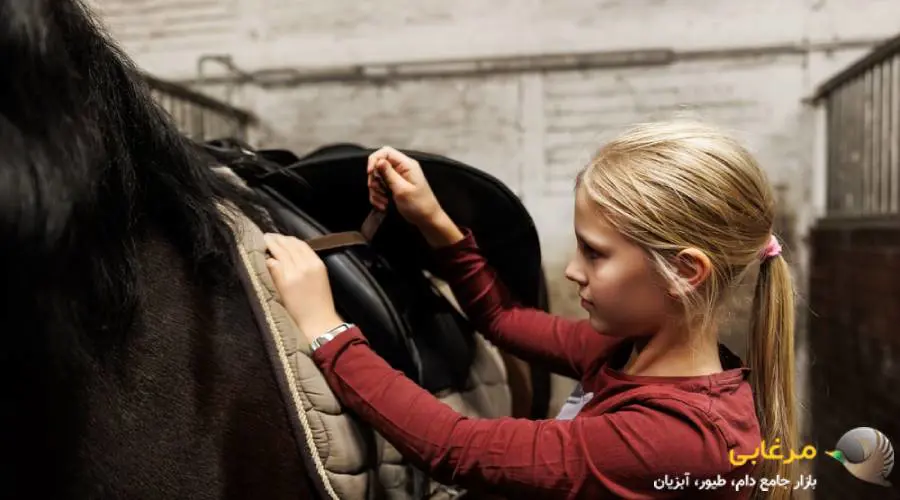 لوازم سوارکاری اسب، کودکان