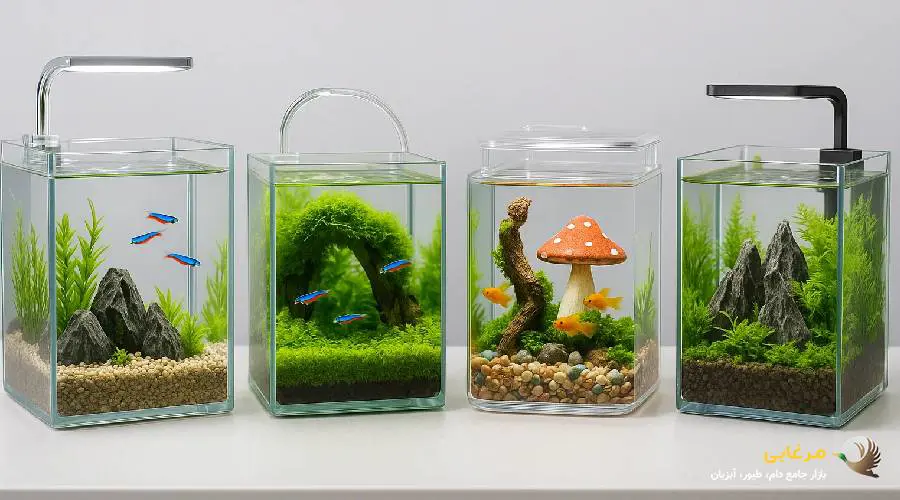آکواریوم فانتزی کوچک