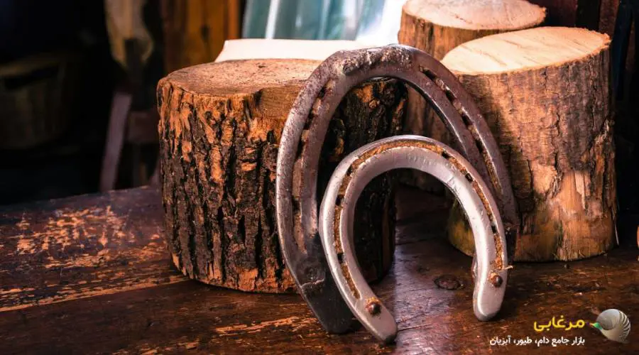 نعل اسب را کجای مغازه بزاریم