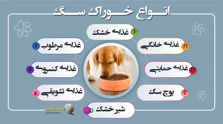 انتخاب غذای سگ متناسب با سن و نژاد