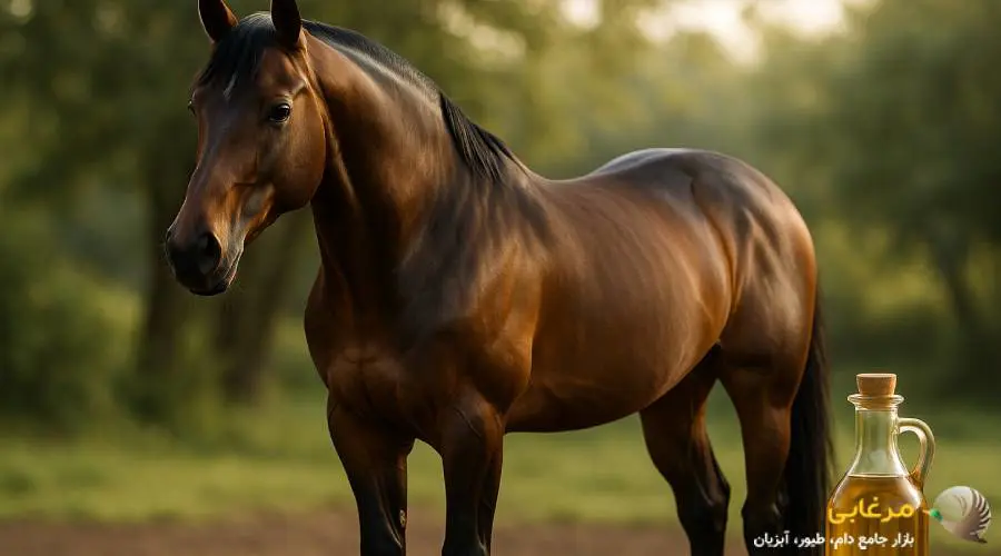 مزایای مصرف روغن خوراکی اسب