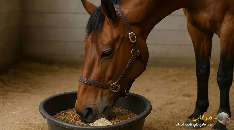 نحوه مصرف مکمل اسب
