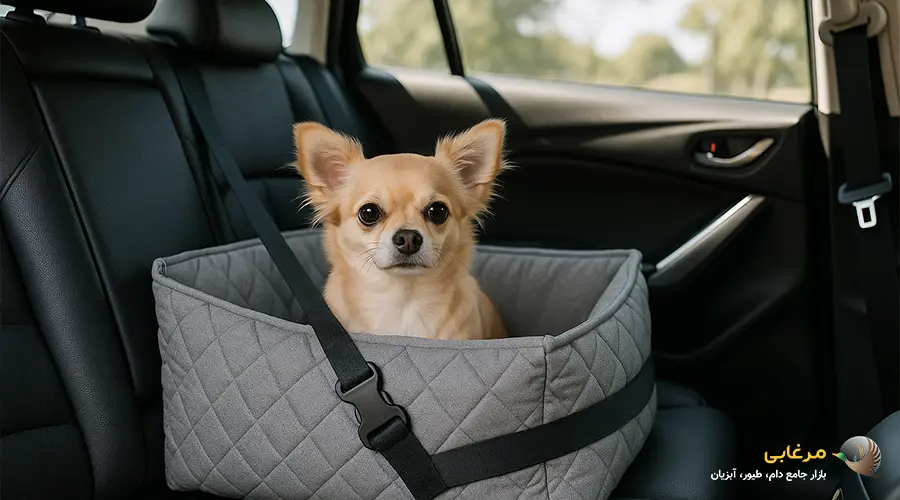 خرید باکس سگ