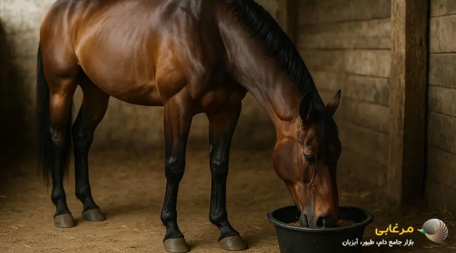 عوارض مصرف زیاد مکمل اسب