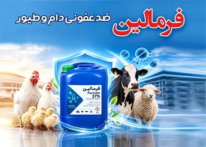 بلاگ  فرمالین ۳۷ درصد برای ضدعفونی سالن مرغداری و دامداری؛ راهنمای خرید و مصرف