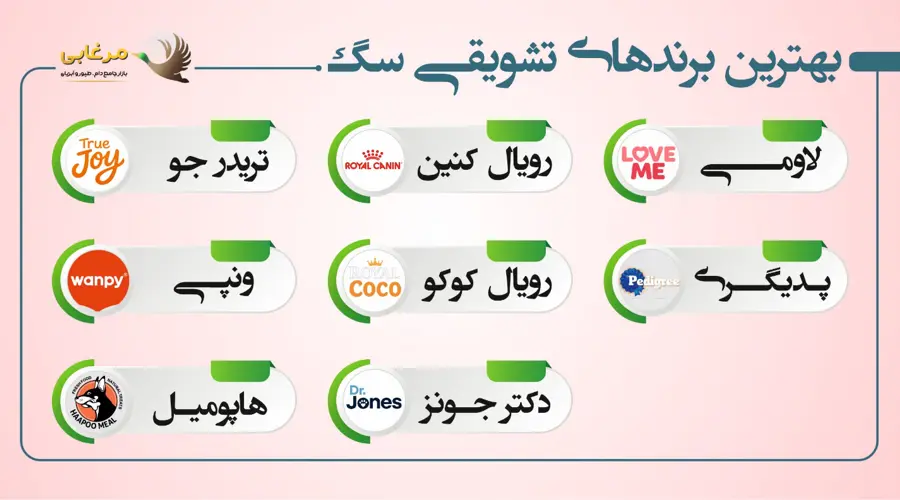 فواید تشویقی سگ