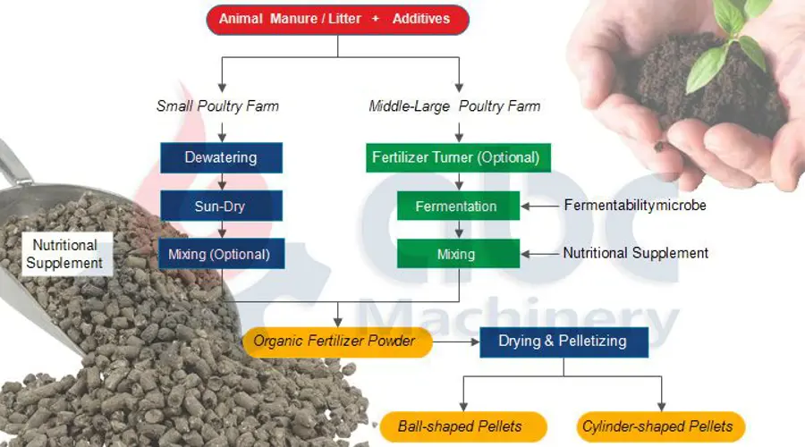 انواع کود مرغی گوشتی