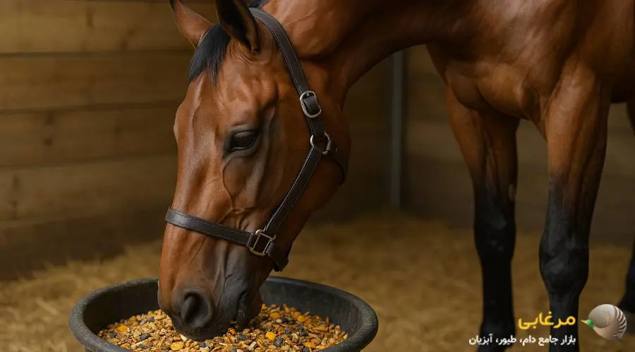 کنسانتره اسب چیست