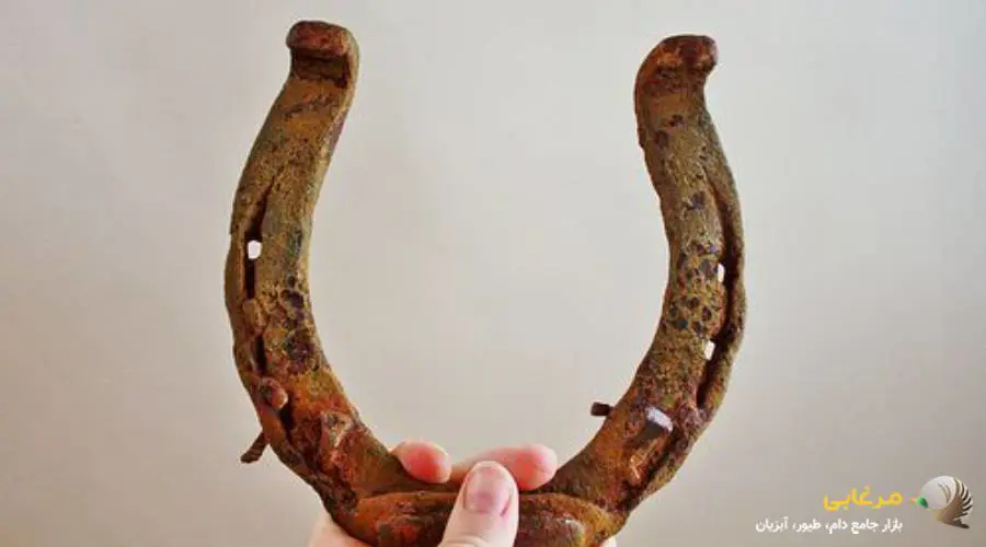 نعل اسب برای چی خوبه