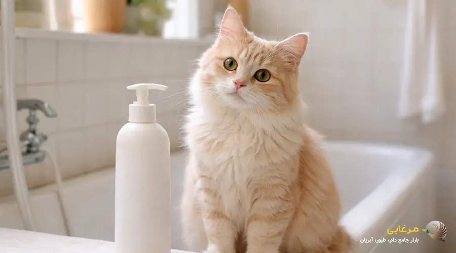 خرید شامپوی گربه